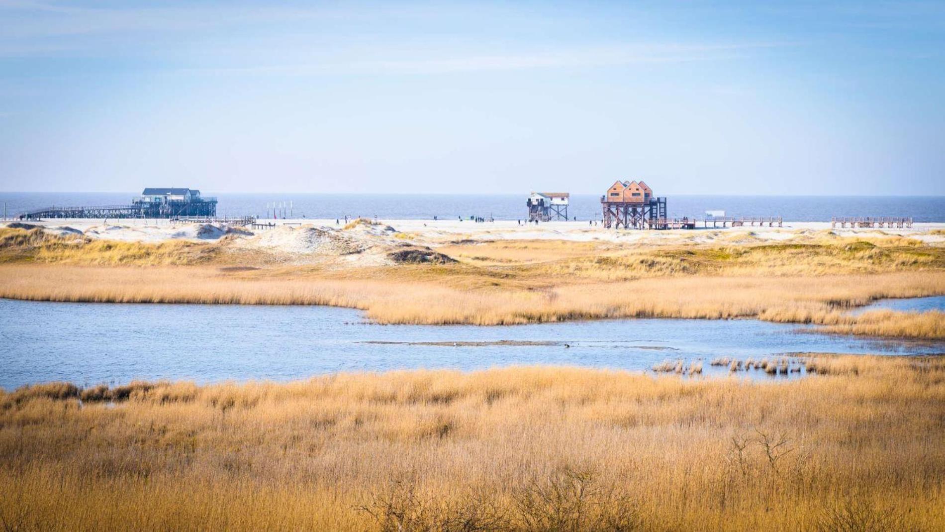 Haushaelfte-Poppenspaeler Sankt Peter-Ording Esterno foto